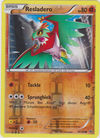 039 Resladero