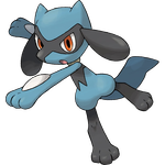 Riolu Riolu
