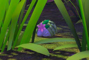 Beispielfoto für Shaymin