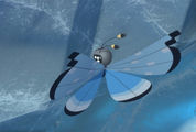 Beispielfoto für Vivillon Flockenmuster