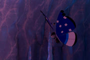 Beispielfoto für Vivillon Schneefeldmuster