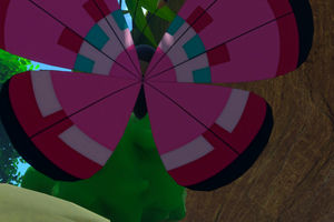 Beispielfoto für Vivillon