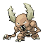 Pinsir Pinsir