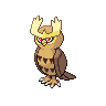 Noctuh Noctuh