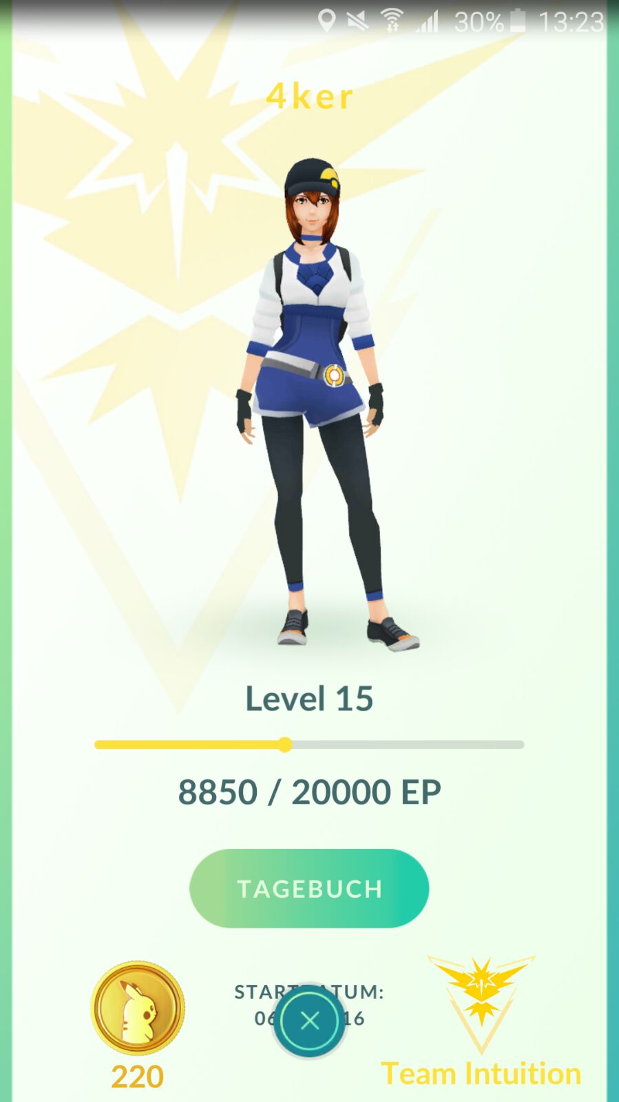 Trainerlevel Trainerlevel
