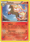  015 Gallopa 