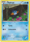033 Hydropi