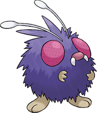 Bluzuk