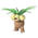 Kokowei
