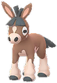 Pampuli