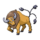 Tauros