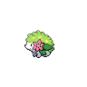  Shaymin 