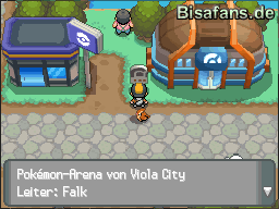 Die Arena von Viola City