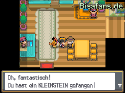 Baoba erhält Kleinstein