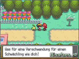 Der Pokemon Supermarkt