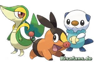 Die neuen Starter-Pokémon