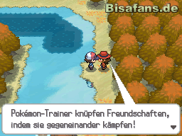 Im Moor von Nevaio gibt es zahlreiche Trainer