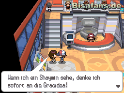 Wenn du Shaymin im Team hast, kannst du eine Gracidea erhalten