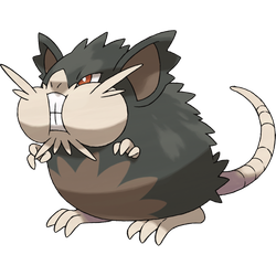 Alola-Rattikarl