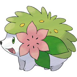  Shaymin in der Landform 