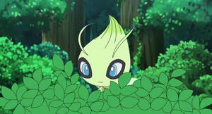 Screenshot von Celebi