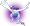 Lugia