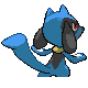 Riolu