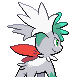 Shaymin Zenitform