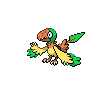 Flapteryx