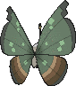 Vivillon Dschungelmuster