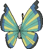 Vivillon Savannenmuster