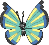 Vivillon Savannenmuster