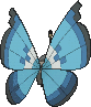 Vivillon Aquamarinmuster