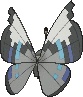 Vivillon Monsunmuster