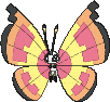 Vivillon Sonnenmuster