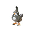 Staravia