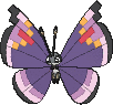 Vivillon Prunkmuster