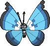 Vivillon Aquamarinmuster