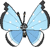 Vivillon Flockenmuster