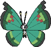 Vivillon Ziergartenmuster