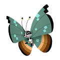 Vivillon Dschungelmuster