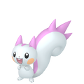 Pachirisu ♀