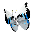 Vivillon Monsunmuster