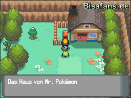 Das Haus von Mr. Pokémon