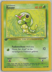 Basis-Set 45/102 Raupy