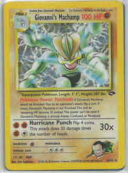 Gym Challenge 6/132 Giovanni's Machamp