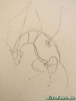 Zeichenkurs Reshiram - Schritt 6