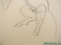 Zeichenkurs Reshiram - Schritt 8