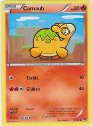 TURBOfieber 12/122 Camaub