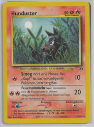 Neo Entdeckung 24/75 Hunduster